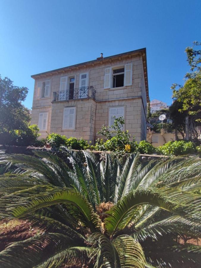 Villa Arancia Дубровник Экстерьер фото